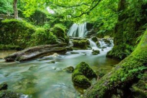 Save Nature