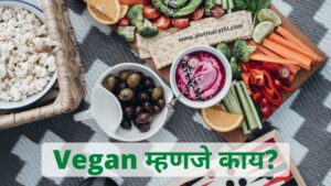 Vegan meaning in Marathi