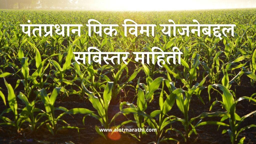 पंतप्रधान पिक विमा योजना माहिती